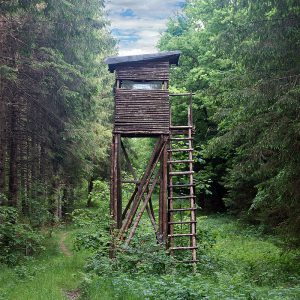 800px-A_rised_hide_closed_quadrat